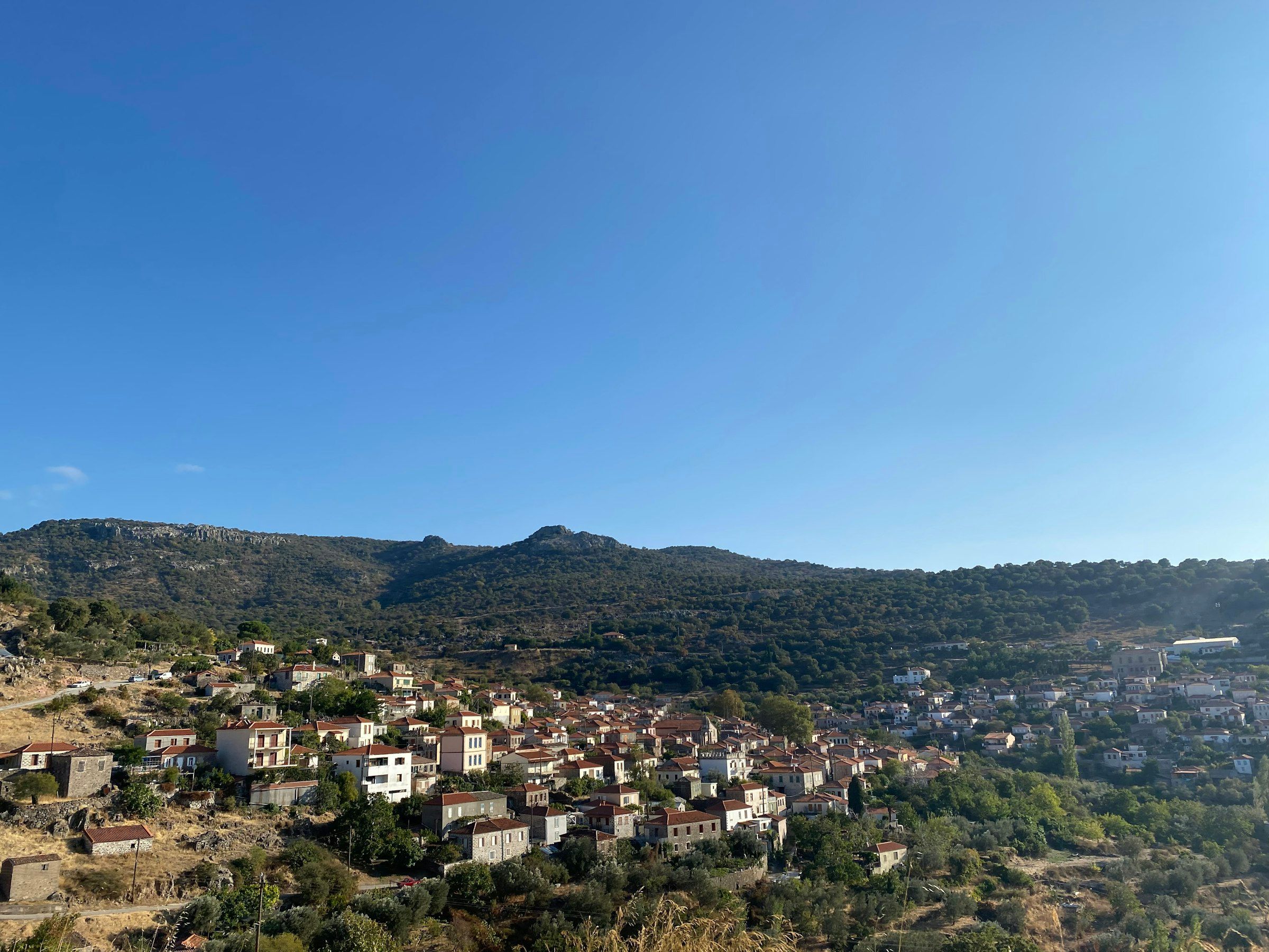 Ein kleines Dorf an einem Hang auf Lesbos